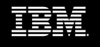 IBM Logo